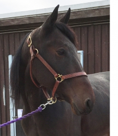 Uncertain When 161107-1